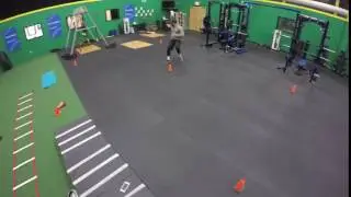 Agility Cone 5 Butterflies