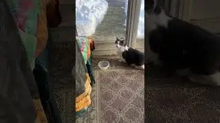 Что ты смотришь, Оскар?