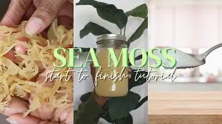 How to make PERFECT Sea Moss Gel | Easy start to finish tutorial |