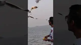 &ldquo;Birds, waves & freedom &mdash; the perfect Alibaug ride 🌊