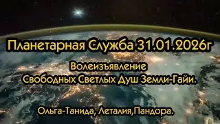 Планетарная служба 31 01 2026г Волеизъявление Свободных Светлых Душ Земли-Гайи.