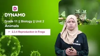 Grade 11 || Biology || Unit 2 || Animals || Part 5 || 2.3.4 Reproduction in Frogs