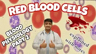 RED BLOOD CELLS | Blood physiology part 2 | mbbs 1st year | introduction to anemia and polycythemia 