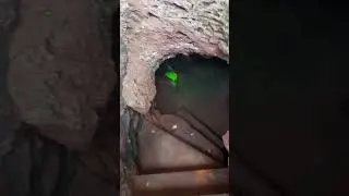 Biladwaram | Vasuki cave | Kukke subramanya Temple | #shorts | #youtubeshorts | Karnataka