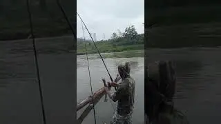 Proses Pengangkatan Ikan Bekel / Ikan Baung #Mancing #fishing #mbolang #blitar