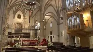 2014  VIII Festival Int  de ÓRGANO  Catedral de Alcalá de Henares  CALENDARIO DE CONCIERTO