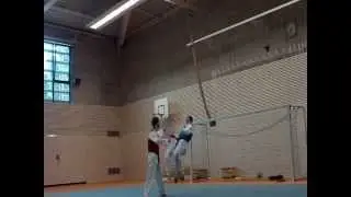Pefect Taekwondo Show Kampf