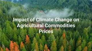 Impact of Climate Change on Agricultural Commodities Prices