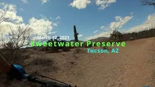 Sweetwater Preserve - Mountain biking in Tucson, AZ