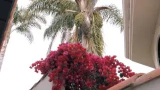 The Pismo Beach Real Estate Experts