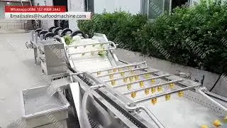 Lettuce Cabbage Vegetable Ozone Bubble Washing Machine For Salad