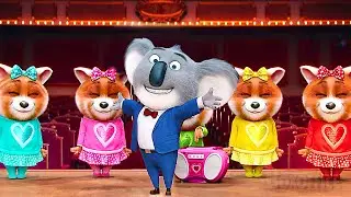 Pequenos e fofos pandas vermelhos japoneses | Sing: Quem Canta Seus Males Espanta | Clipe