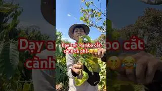 Dạy anh Rambo cắt c&agrave;nh c&agrave; ph&ecirc; 🤭😂