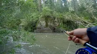 Insane Fly Fishing on the Pecos River - Fish After Fish!!