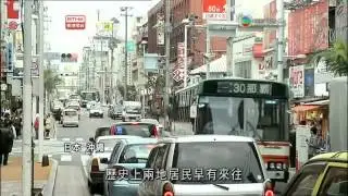 功夫傳奇 剛柔白鶴