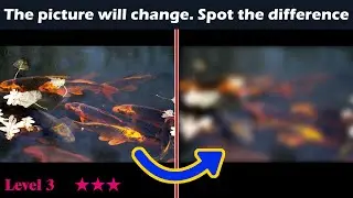 Spot the changing difference #153 | Pictures Puzzle | The photo will change | Brain training
