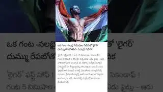 LIGER  || vijaydevarakonda   || updates