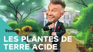 Comment bien adopter des plantes de terre acide