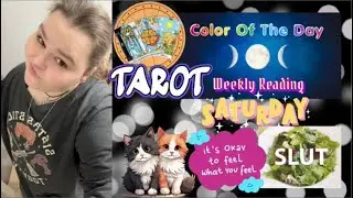Not Feeling Anything Today - Weekly Reading - Ordered My Salad - Vlog 