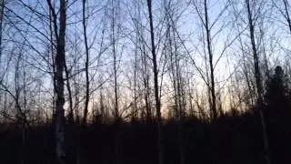 Тяга