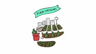 Food Systems - CERES School of Nature and Climate