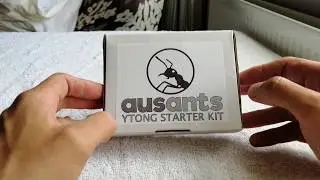 Review: Aus.ants Ytong Starter Kit