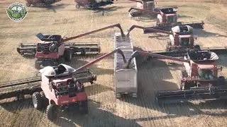 From Canola To Oil | How American Farmers Harvest 46 Billion Pounds Of Canola | Farming Documentary