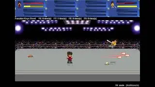 KT-LF2 v2.5F Bat new Move and Combo