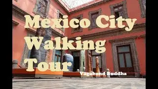 Mexico City Free Walking Tour