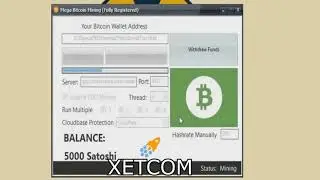 PREMIUM BITCOIN MINER   0 1 BTC FOR DAYS