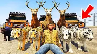 Franklin Rescue the Rare Wild TIGERS From Gangsters and Save The Jungle in GTA 5 | SHINCHAN and CHOP