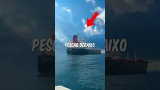Pescar sob navios GIGANTES salvou o meu dia! #pescando