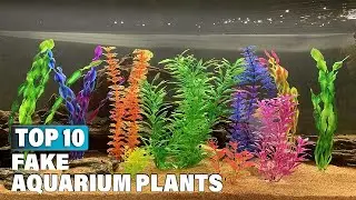Best Fake Aquarium Plants in 2025 (Top 10 Picks)