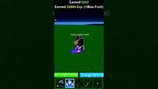 Shark race v3 (blox fruit)