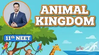 Animal Kingdom Lec 2 | 11th NEET Revision | Symmetry | Germ Layers
