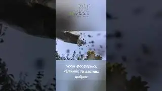 Вермикуліт ЗРостай - найкращий розпушувач для грунту #greendecor #дренаж #дімісад #вермикуліт
