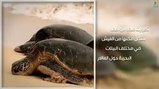 بيئتنا | الموسم الأول | كيف نقوم بإصلاح الأراضي الزراعية