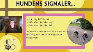 Putsa Guldkanten Tillsammans
