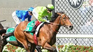 Flemington - Horse Racing Tips | Victoria Derby | Coolmore Stud | Empire Rose Preview!