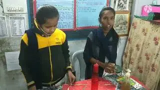 Eco Friendly Sanatiser (Science_Fair_Project)