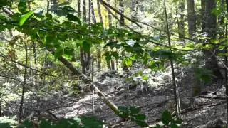Vertically Inclined Wilderness Guides Popolopen Gorge and the Torne Hike