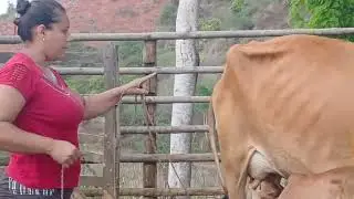 Bora pra roça ..