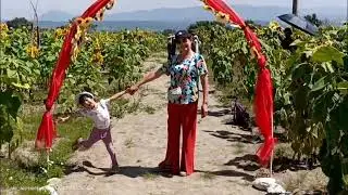 Ayleen en el santuario de los girasoles 