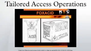 Tailored Access Operations