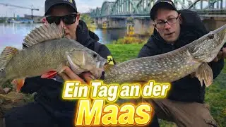 Das MAAS aller Dinge?