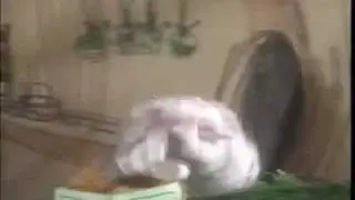 Shari Lewis Lamb Chop Jump Into The Story Part 2