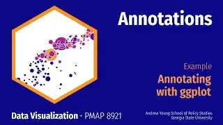 PMAP 8921 • (9) Annotations: Example