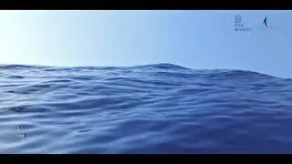 Ocean waves - ParaView Physically Based Rendering