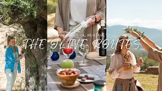 Discovering Messinian olive oil heritage with The Olive Routes