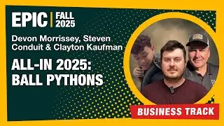 All-In 2025: Ball Pythons - EPIC Fall 25